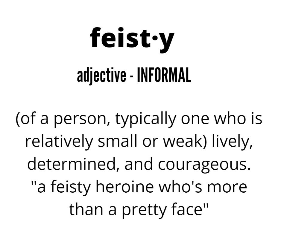 FEISTY DEFINITION 2